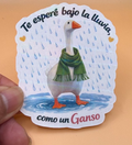 Te Esperé Bajo la Lluvia, Como un Ganso — Laminated Sticker