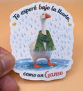 Todo Tumi laminated sticker featuring a white goose in a green scarf standing in the rain with Spanish text.